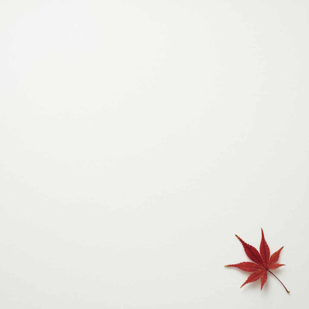 極簡構圖，畫面中只有一片精緻的紅楓葉...