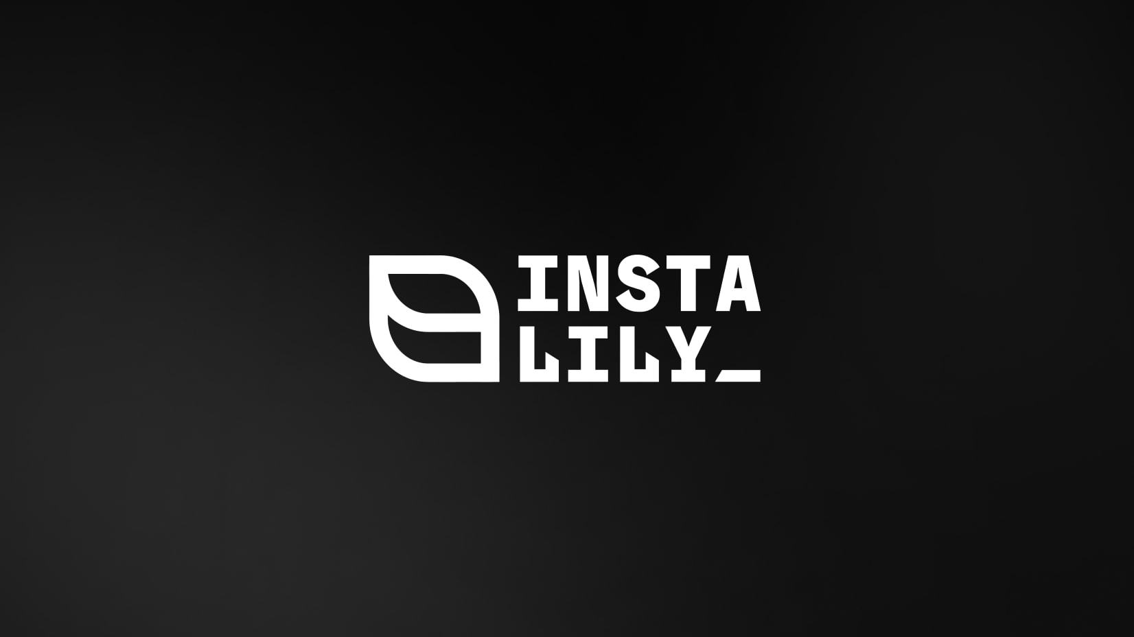 Instalily showcase preview
