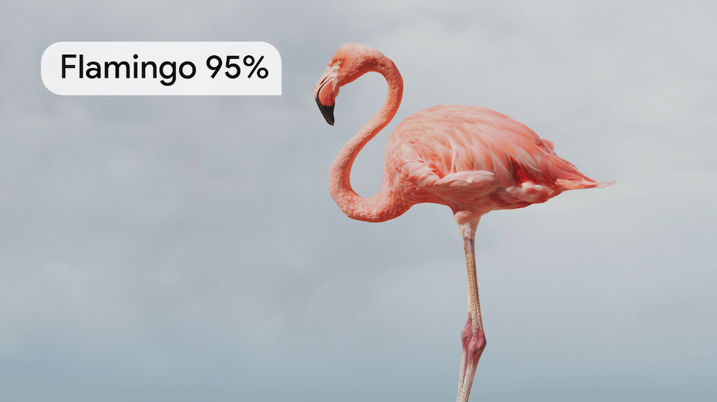 Ein Tier, das korrekt als Flamingo mit einer Konfidenz von 95% gekennzeichnet ist